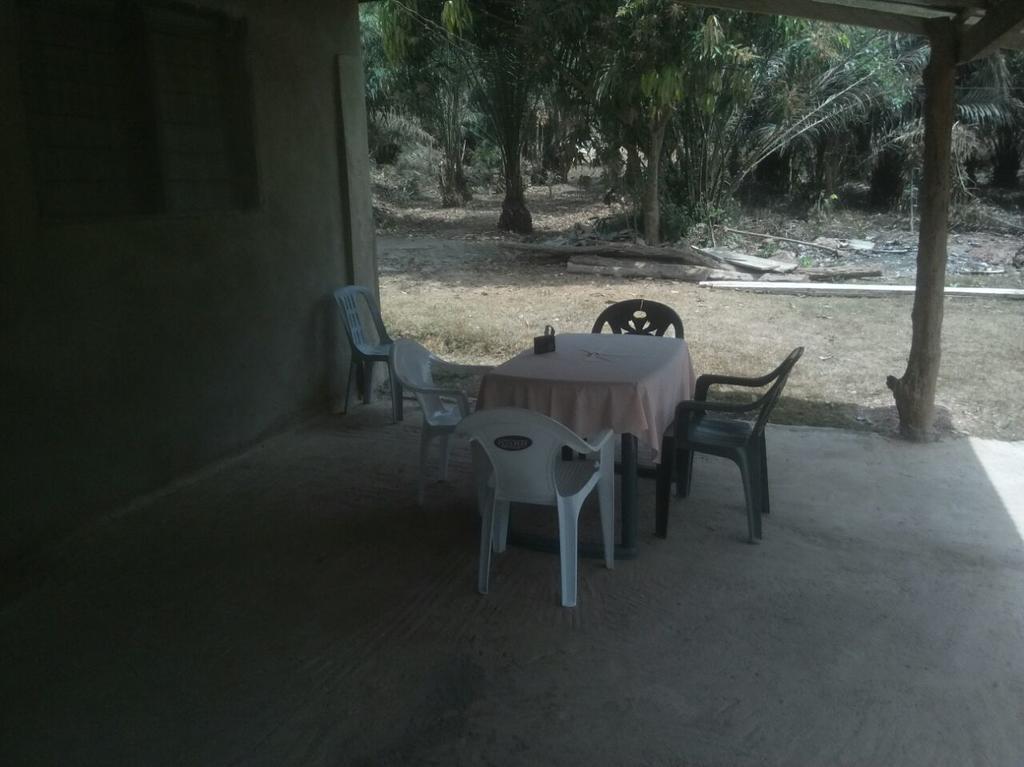 Wli Waterfalls Inn Wli Afegame Exterior foto